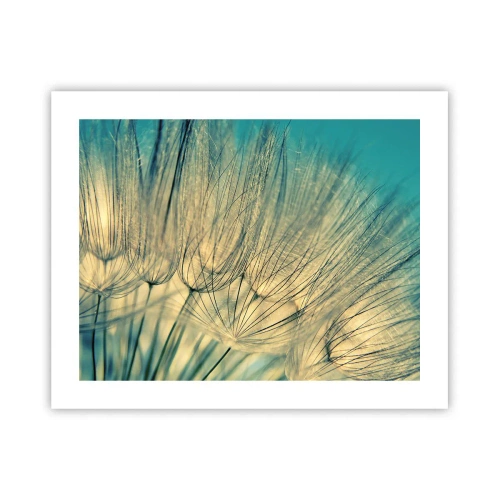 Plakát - Čekání na vítr - 50x40 cm