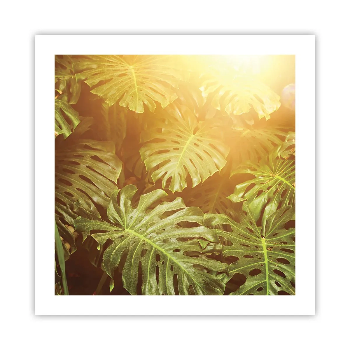 Plakát - Vstoupit do zeleně… - 50x50 cm