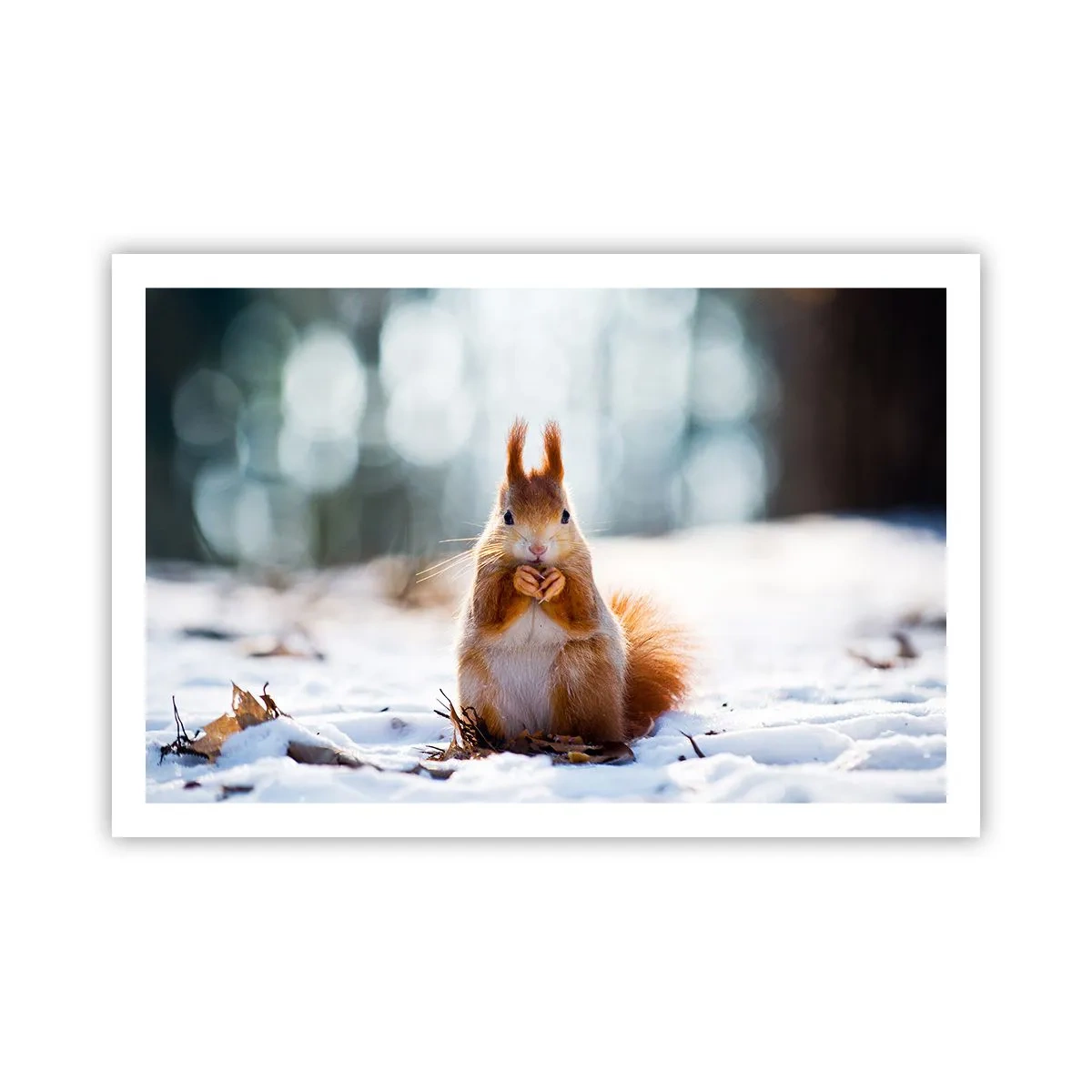 Plakát - Co se tak díváš? - 91x61 cm