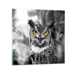 Obraz na skle - Nic se neschová - 50x50 cm