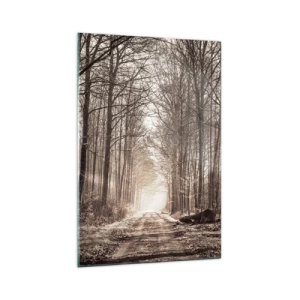 Obraz na skle - Lesní katedrála - 70x100 cm