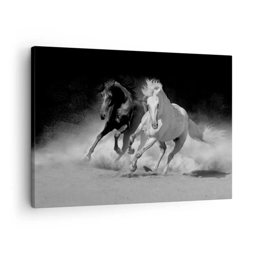 Obraz na plátně - Běžící koně v černé a bílé - 70x50cm - Cval svobody - Moderní nástěnná dekorace do obývacího pokoje a ložnice ARTTOR