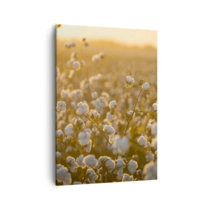 Obraz na plátně - Chlupaté pole - 50x70 cm