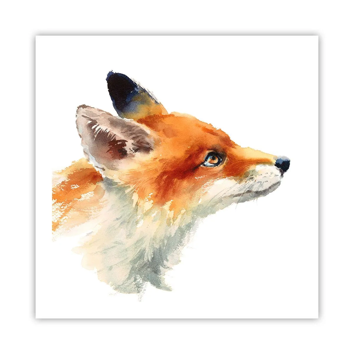 Plakát - Opatrnosti není nikdy dost - 60x60 cm