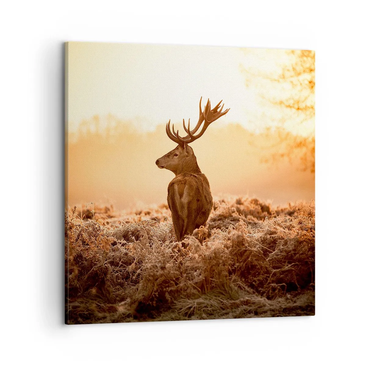 Obraz na plátně - Pán na panství - 50x50 cm