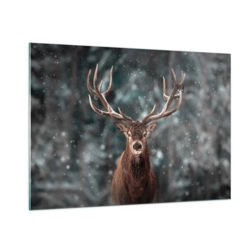 Obraz na skle - Skutečný král lesa - 100x70 cm