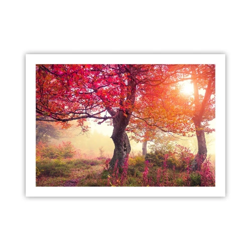 Plakát - Šílenství rozkvětu - 70x50 cm