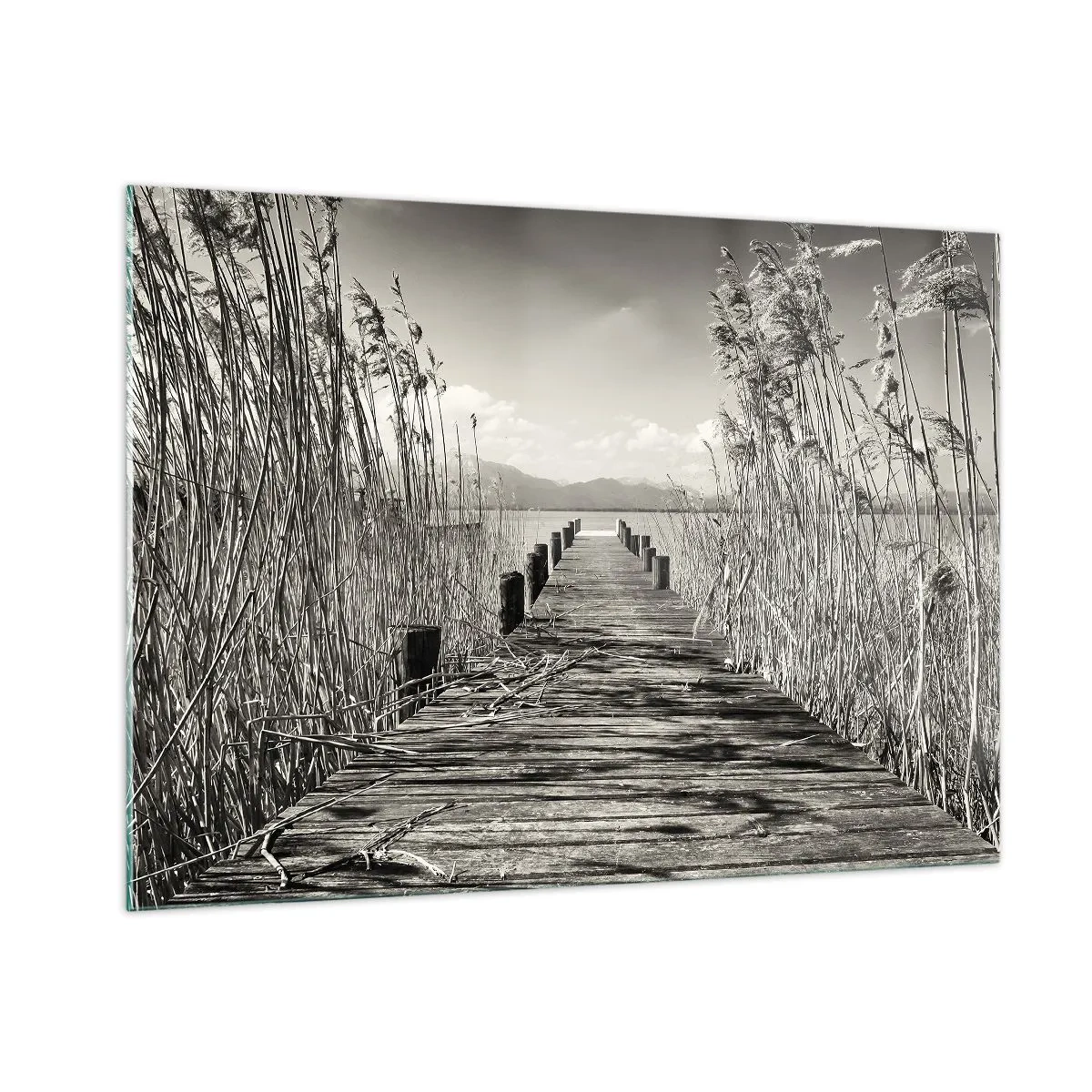 Obraz na skle - V ústraní travin - 100x70 cm