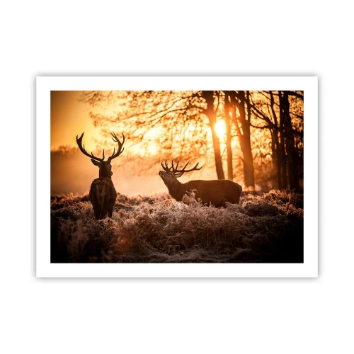 Plakát - Sen myslivce - 70x50 cm