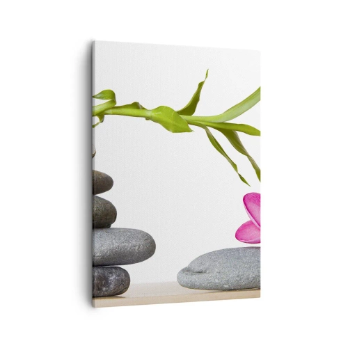 Obraz na plátně - Barvy života a trvání - 50x70 cm