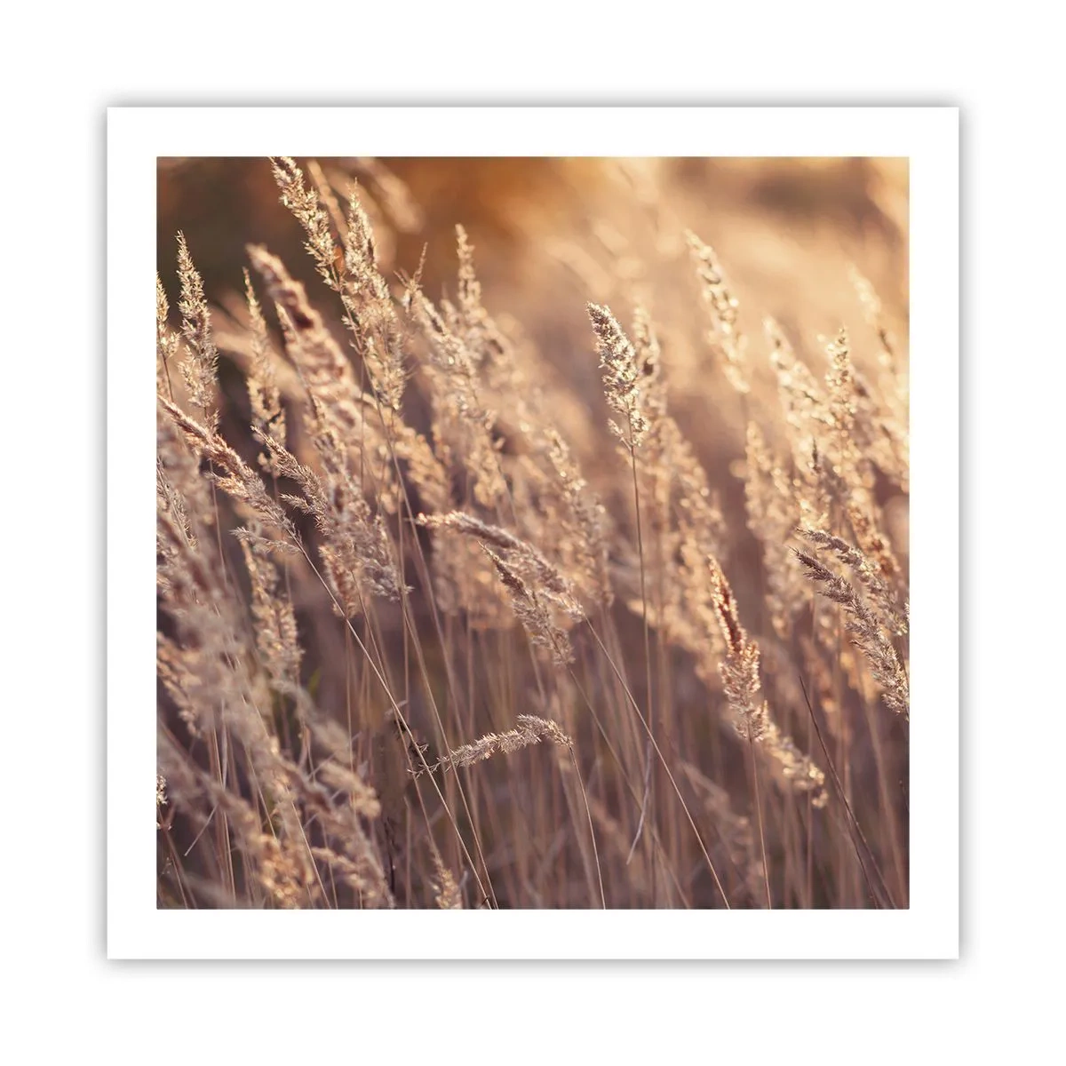 Plakát - Připraveni přivítat podzim - 60x60 cm