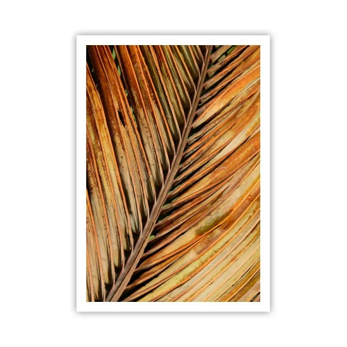 Plakát - Kokosové zlato - 70x100 cm