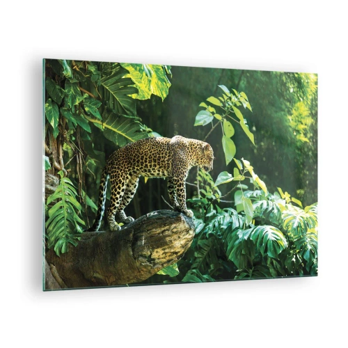 Obraz na skle - Leopard na skále v tropické džungli - 70x50cm - Na lov? - Moderní nástěnná dekorace do obývacího pokoje a ložnice ARTTOR