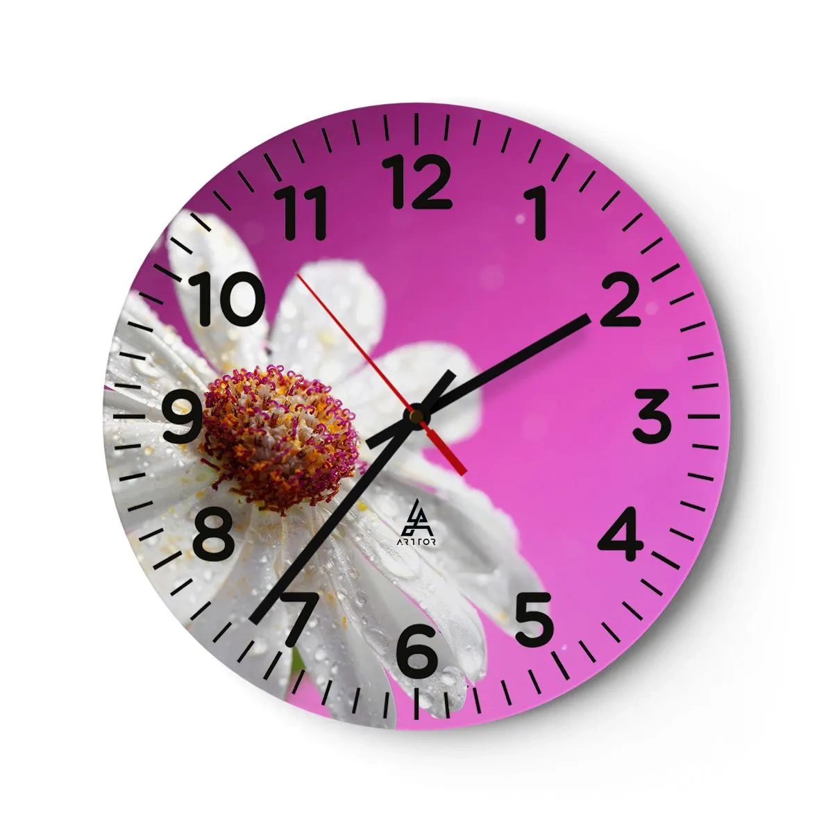 Nástěnné hodiny - Skromný ve své kráse - 40x40 cm