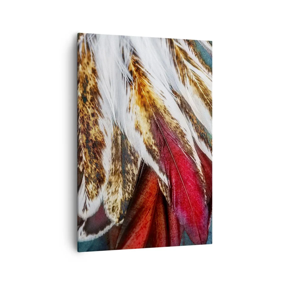 Obraz na plátně - Tajemství letu - 70x100 cm
