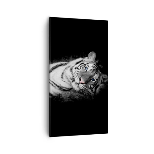 Obraz na plátně - Divočina a klid - 55x100 cm