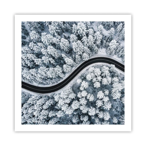 Plakát - Zimním lesem - 60x60 cm