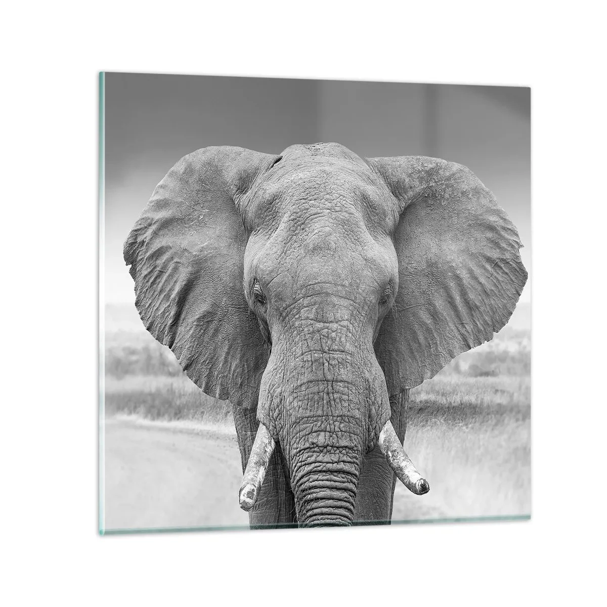 Obraz na skle - Vítejte v mém světě - 70x70 cm