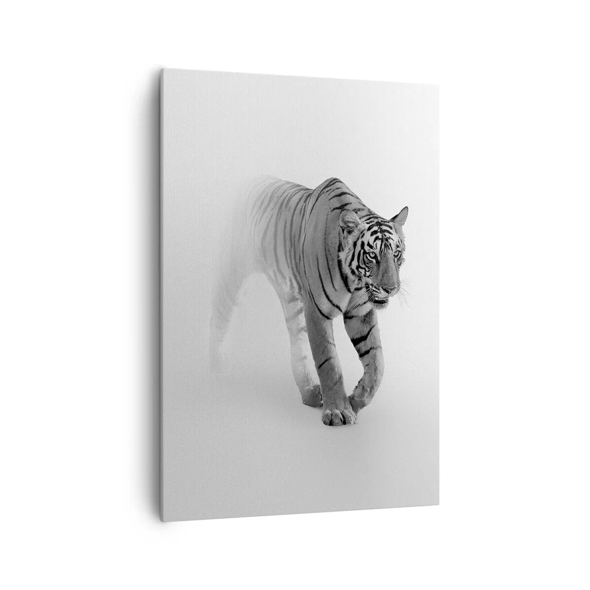 Obraz na plátně - Přikrčený v mlze - 70x100 cm