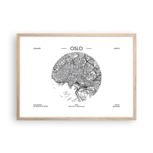 Plakát v rámu světlý dub - Anatomie Osla - 70x50 cm