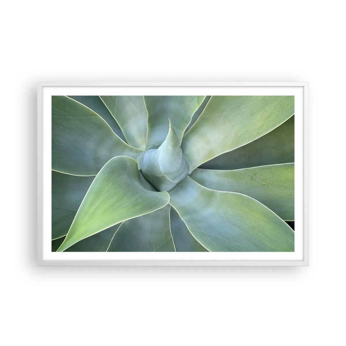 Plakát v bílém rámu - Zrození zeleně - 91x61 cm