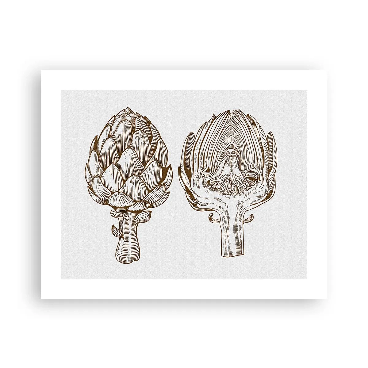 Plakát - Hodiny anatomie - 50x40 cm