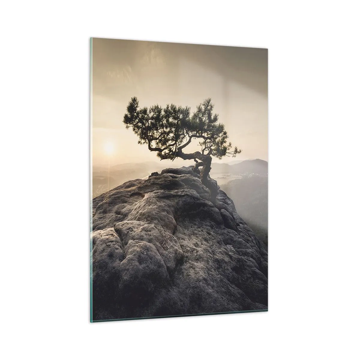 Obraz na skle - Život vždy vítězí - 50x70 cm
