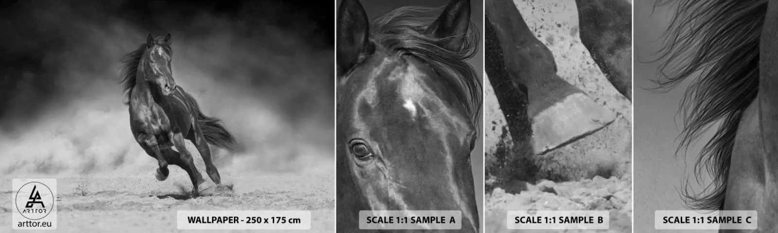 Fototapeta Vzorek Standard Eco - Hodné samotného emíra - Kůň, Zvířata, Příroda - 100x30 cm