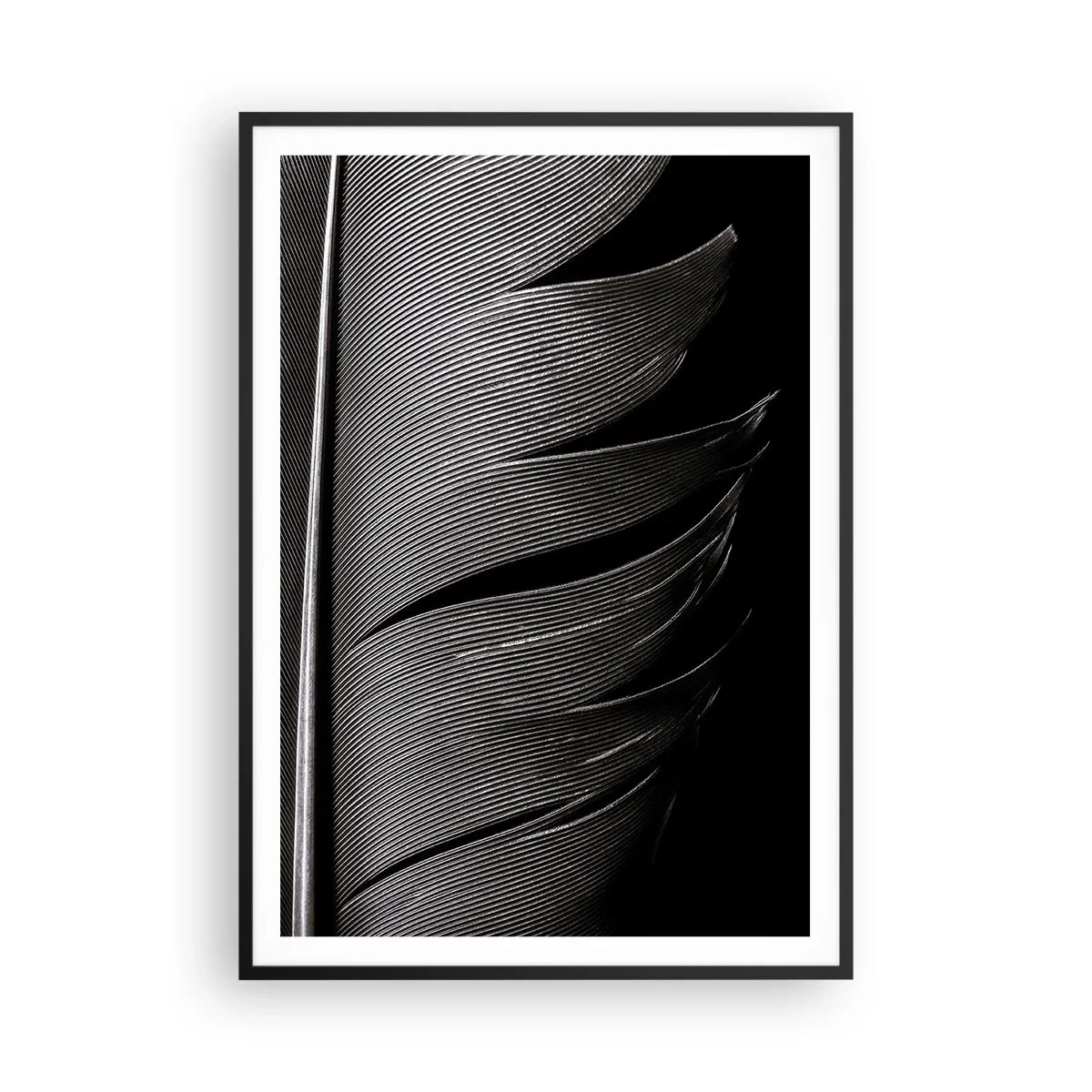 Plakát v černém rámu - Peří – nádherná konstrukce - 70x100 cm