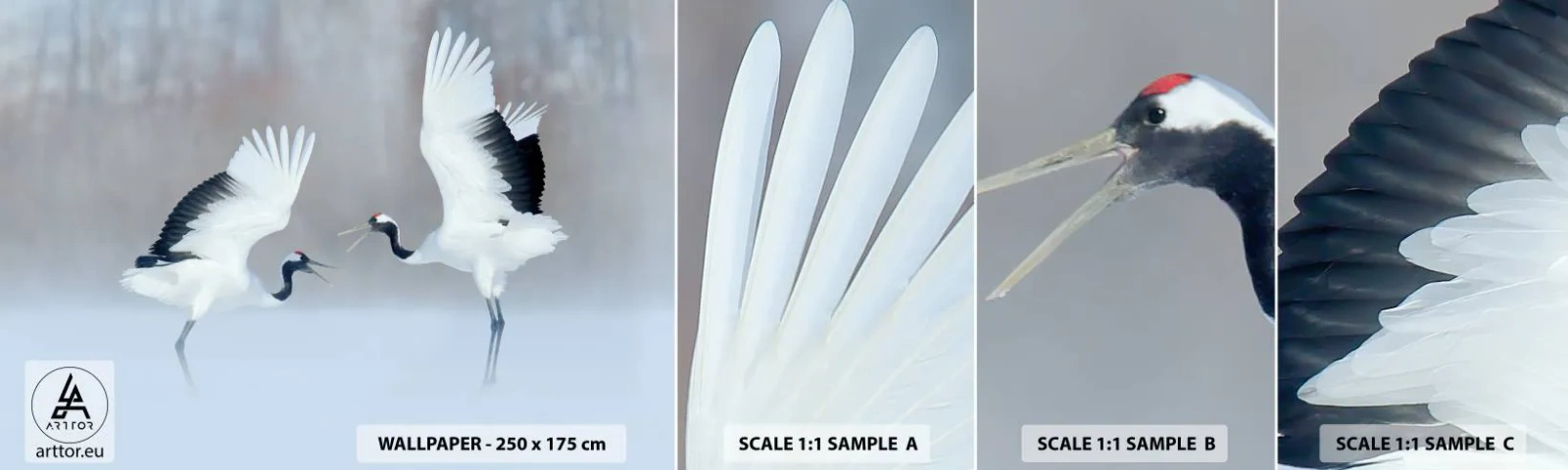 Vzor Fototapety Samolepicí Deluxe Sticker - Tanec v mlze - Zima, Pták, Příroda - 100x30 cm