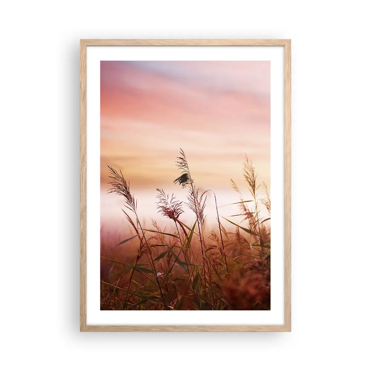 Plakát v rámu světlý dub - Draci, pampelišky a vítr - 50x70 cm