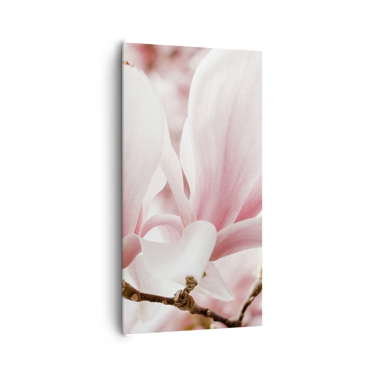 Obraz na plátně - Nesmírnost něžnosti - 65x120 cm