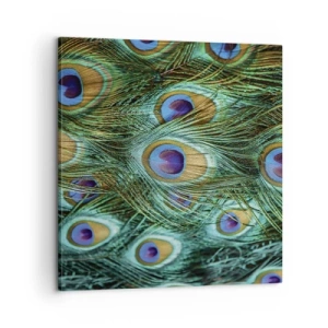 Obraz na plátně - Paví pohled - 60x60 cm