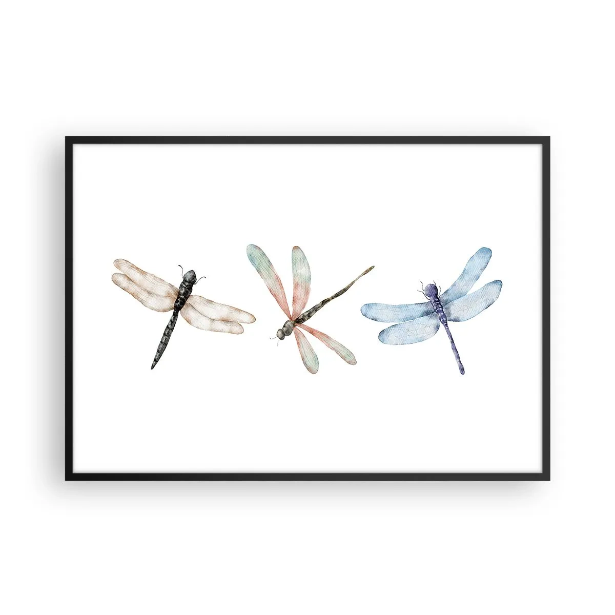 Plakát v černém rámu - Beztížné vážky - 100x70 cm