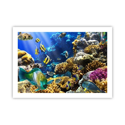 Plakát - Velký provoz na prázdninové stezce - 70x50 cm