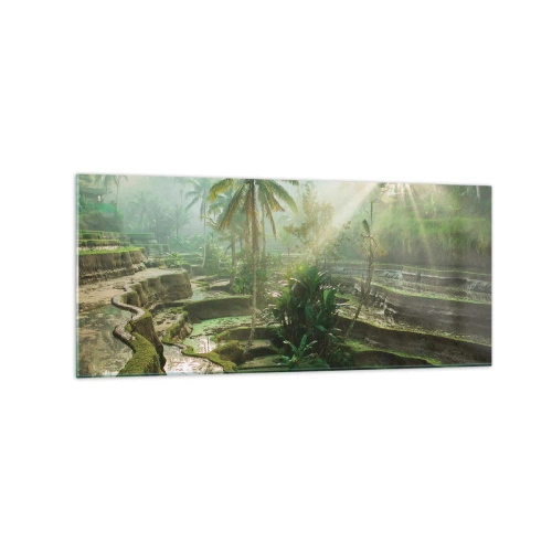 Obraz na skle - Vyrůstát na slunci - 120x50 cm