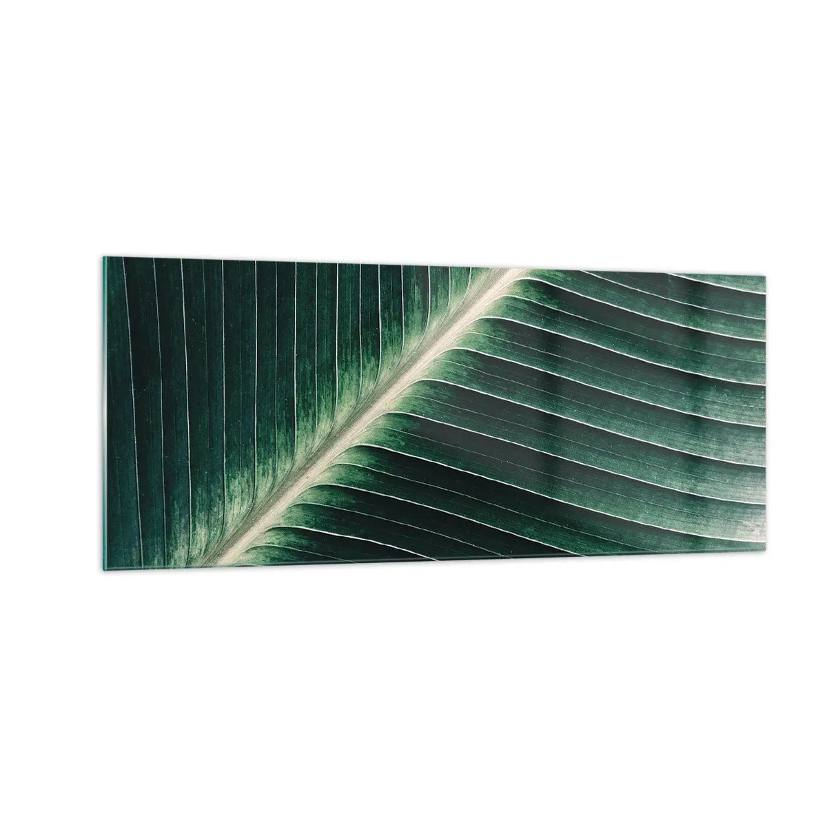 Obraz na skle - Rytmus přírody - 100x40 cm