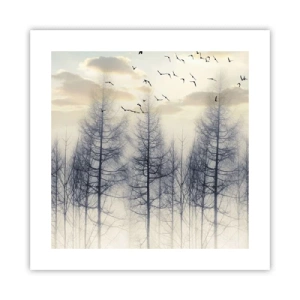 Plakát - Duchové lesa - 40x40 cm