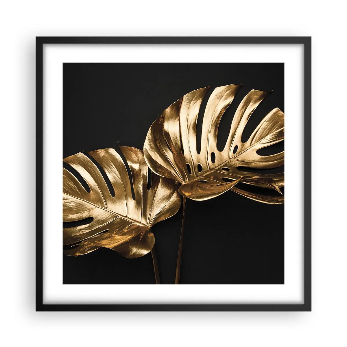 Plakát v černém rámu - Poklady přírody - 50x50 cm