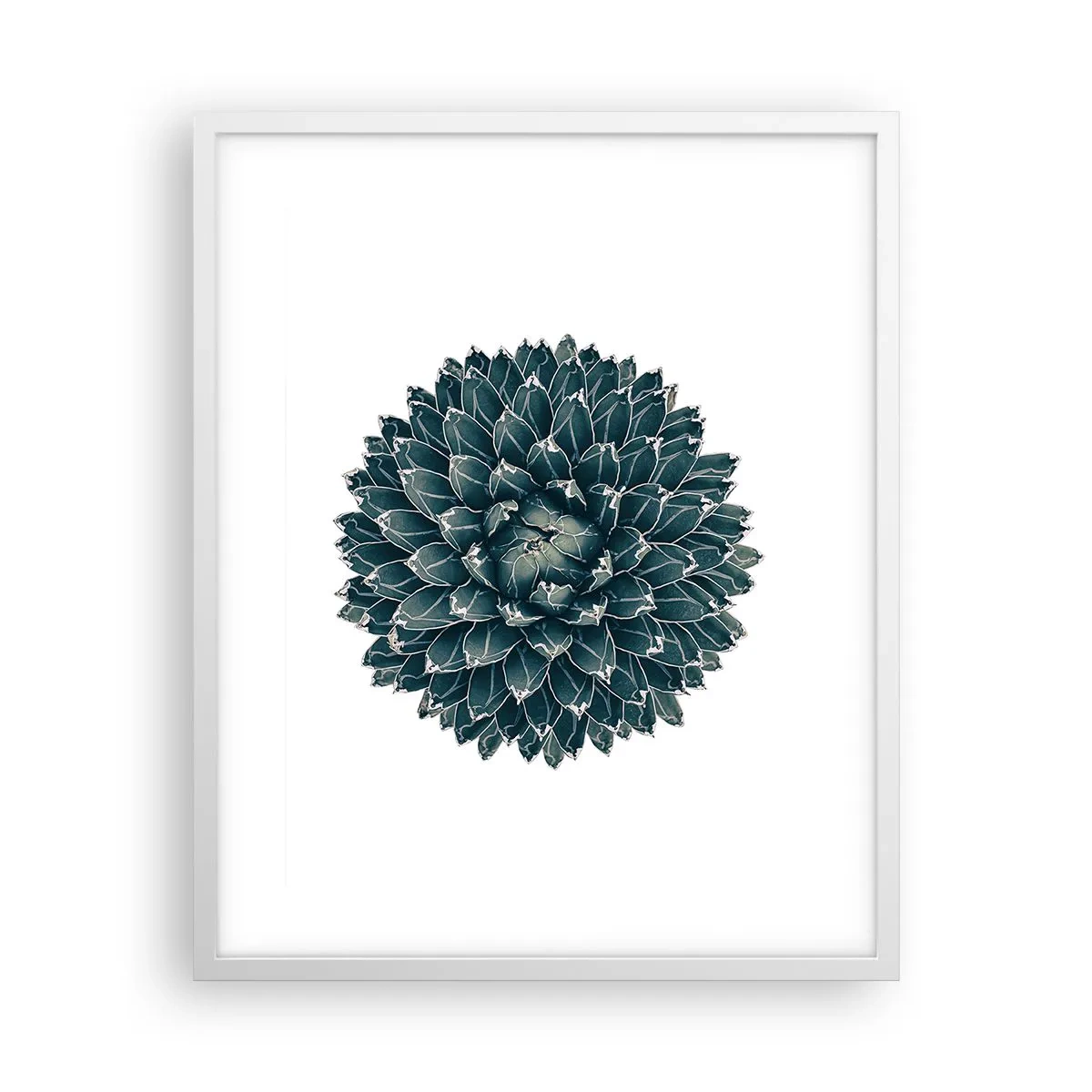 Plakát v bílém rámu - Hvězda pouště - 40x50 cm