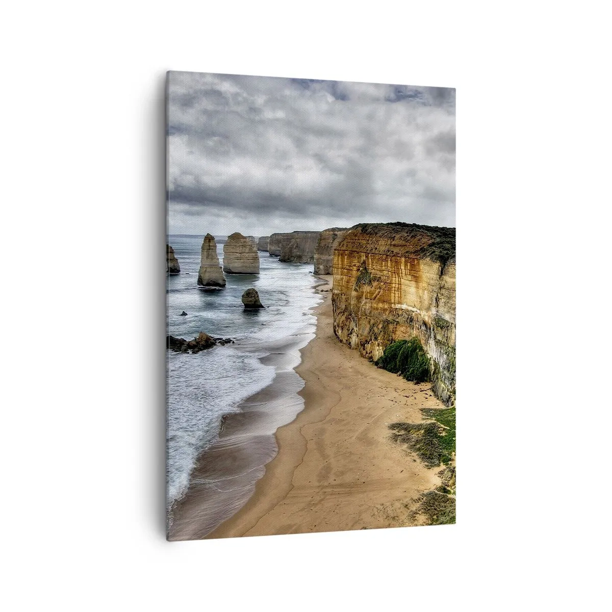 Obraz na plátně - Drsná krása - 70x100 cm