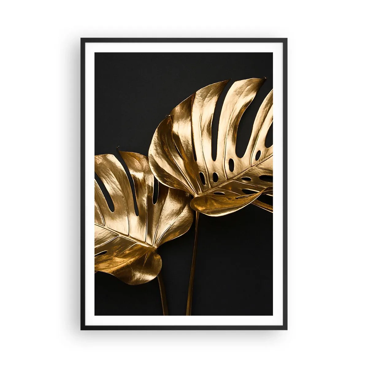 Plakát v černém rámu - Poklady přírody - 70x100 cm