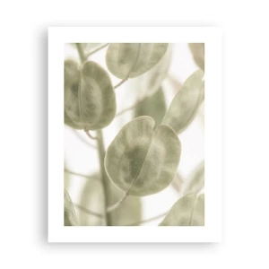 Plakát - Na začátku bylo listí… - 40x50 cm