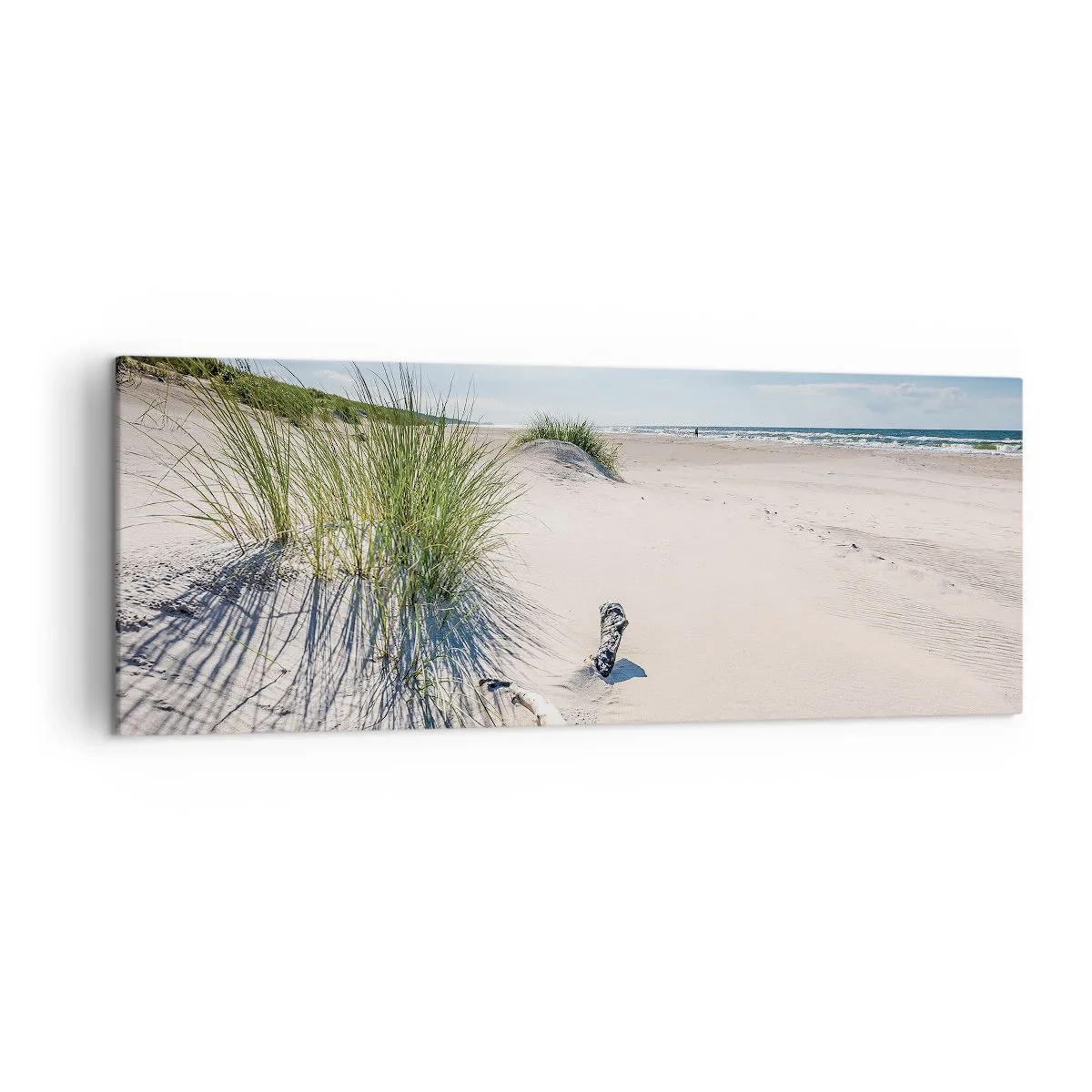 Obraz na plátně - Nejkrásnější? Baltská - 140x50 cm