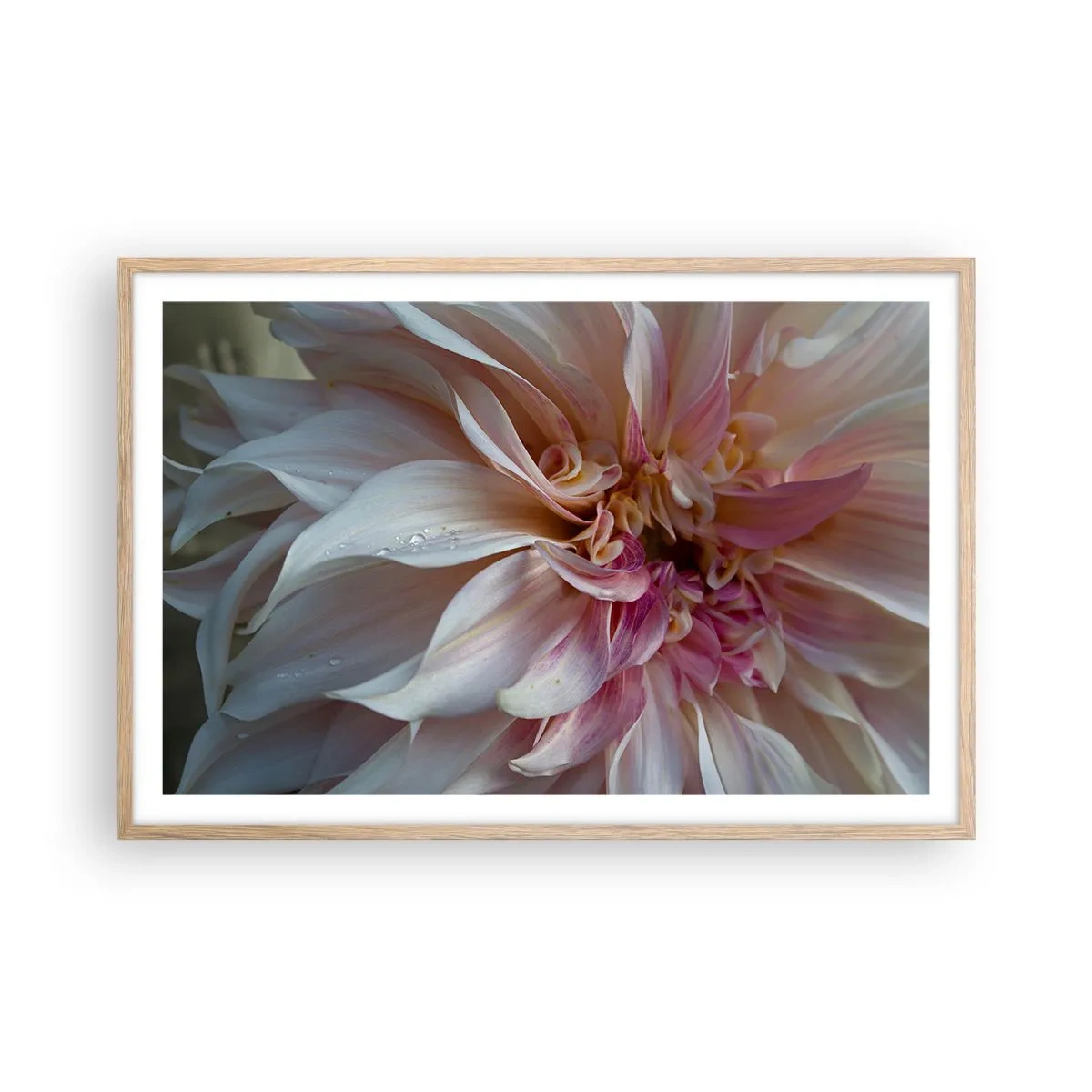 Plakát v rámu světlý dub - Kvetoucí svěžest - 91x61 cm