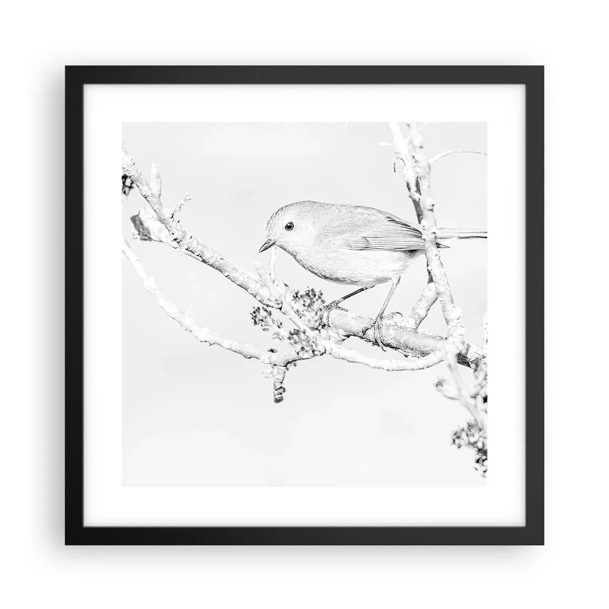 Plakát v černém rámu - Zimní ráno - 40x40 cm
