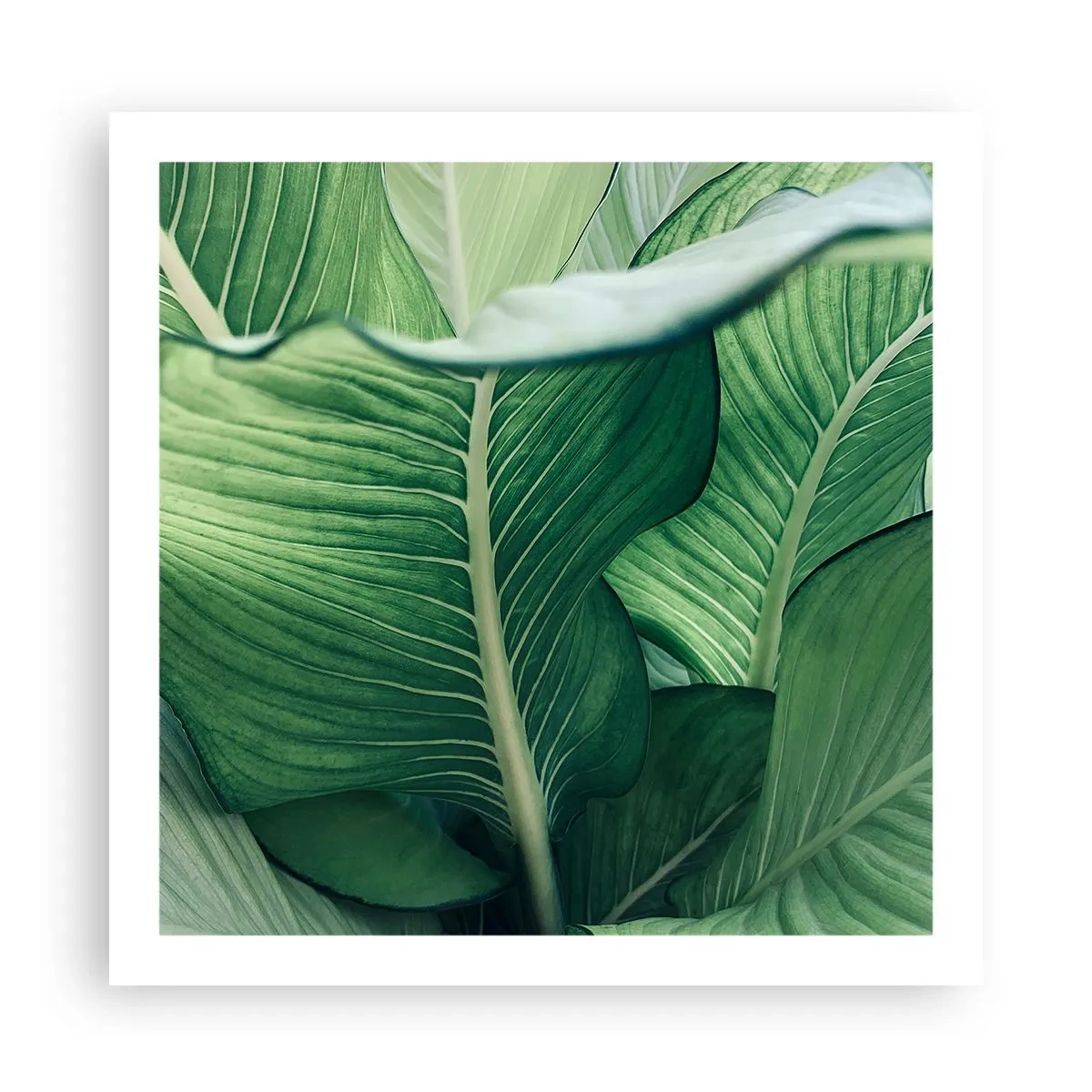 Plakát - Intenzivně zelený život - 60x60 cm