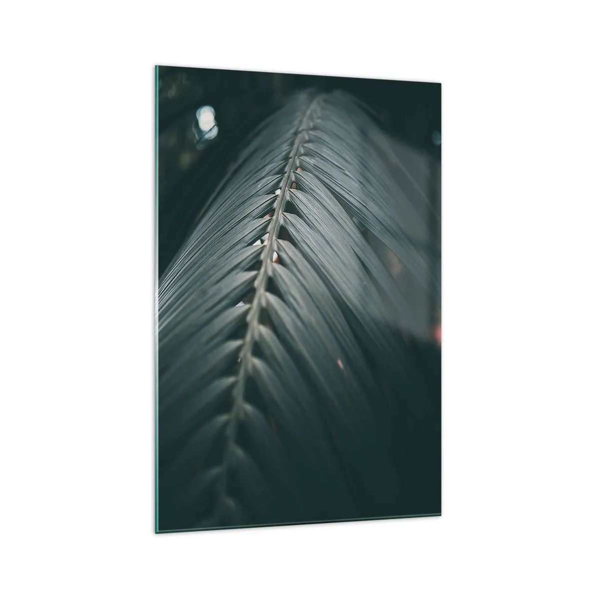 Obraz na skle - Přesnost přírody - 70x100 cm