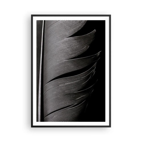 Plakát v černém rámu - Peří – nádherná konstrukce - 70x100 cm