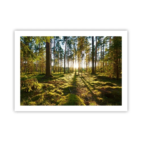 Plakát - …Za sedmero lesy - 70x50 cm